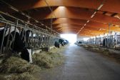 stalla postazione 1 gg